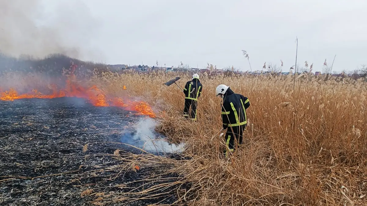 10 пожеж за добу: вогнеборці Хмельниччини рятували від вогню екосистеми та житлові будинки