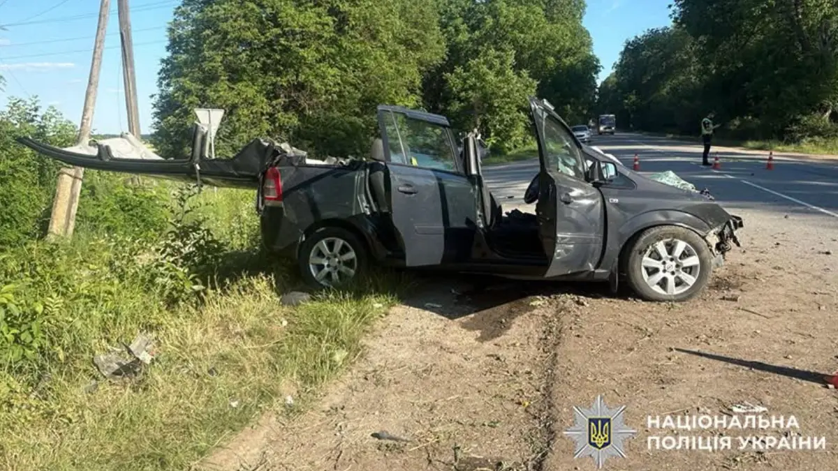 Смертельна ДТП на Кам’янеччині: водій авто врізався у дерево