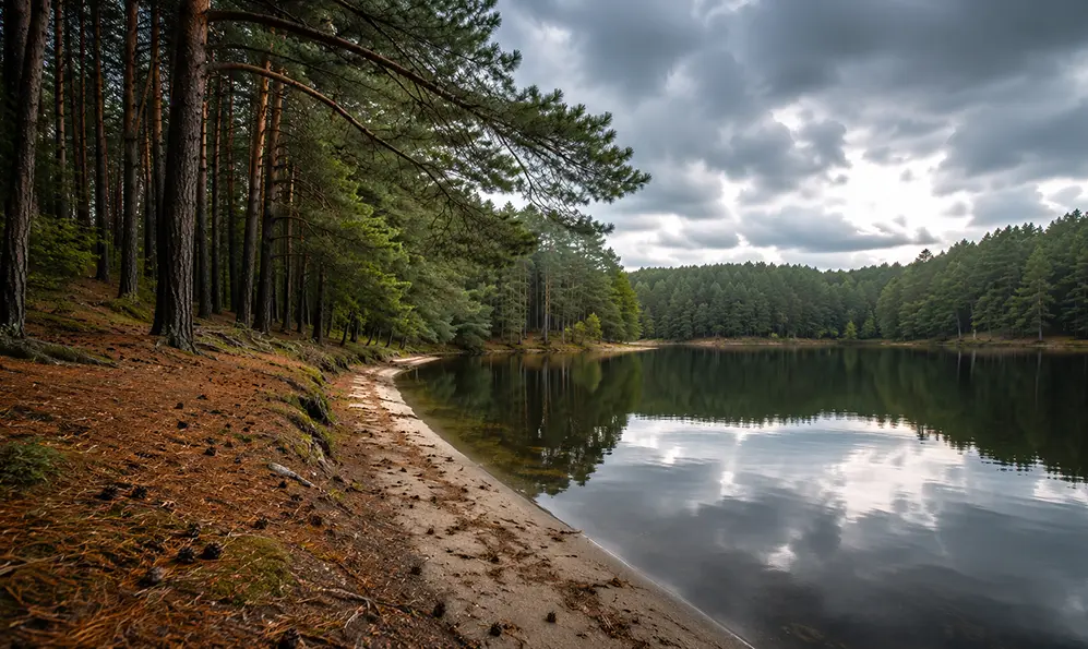 Прогноз погоди на Хмельниччині: зниження температури до +23°C, місцями дощі та грози